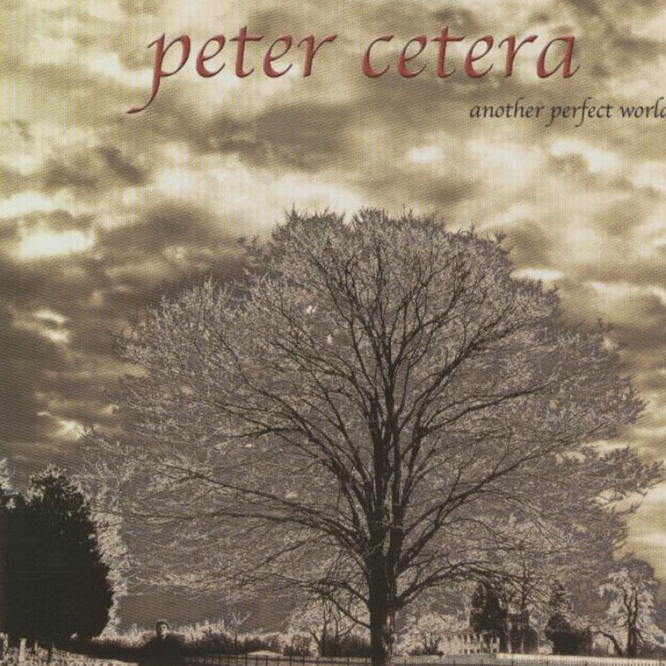 Cartula Frontal de Peter Cetera - Another Perfect World