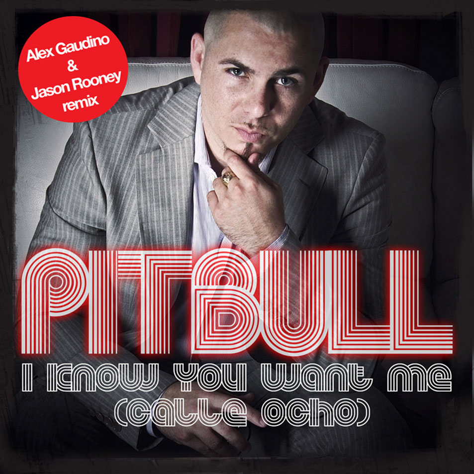 Cartula Frontal de Pitbull - I Know You Want Me (Calle Ocho) (Alex Gaudino & Jason Rooney Remix) (Cd Single)