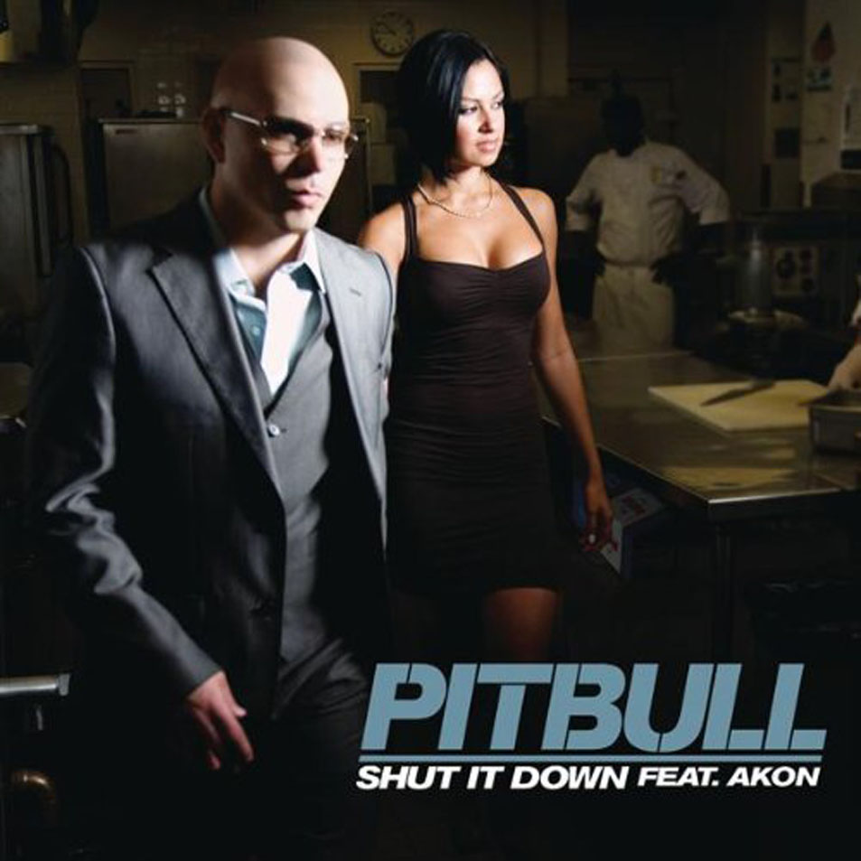 Cartula Frontal de Pitbull - Shut It Down (Featuring Akon) (Cd Single)