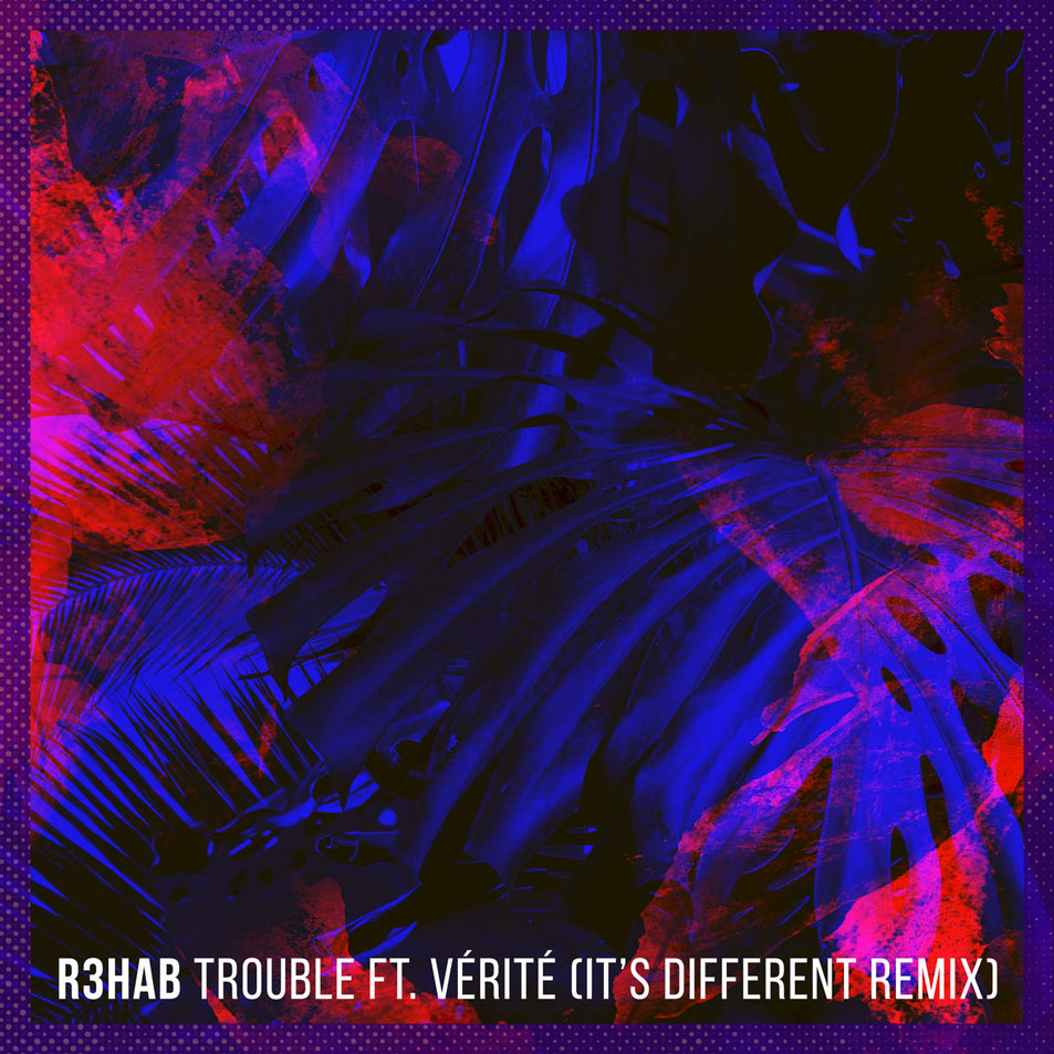 Cartula Frontal de R3hab - Trouble (Featuring Verite) (It's Different Remix) (Cd Single)