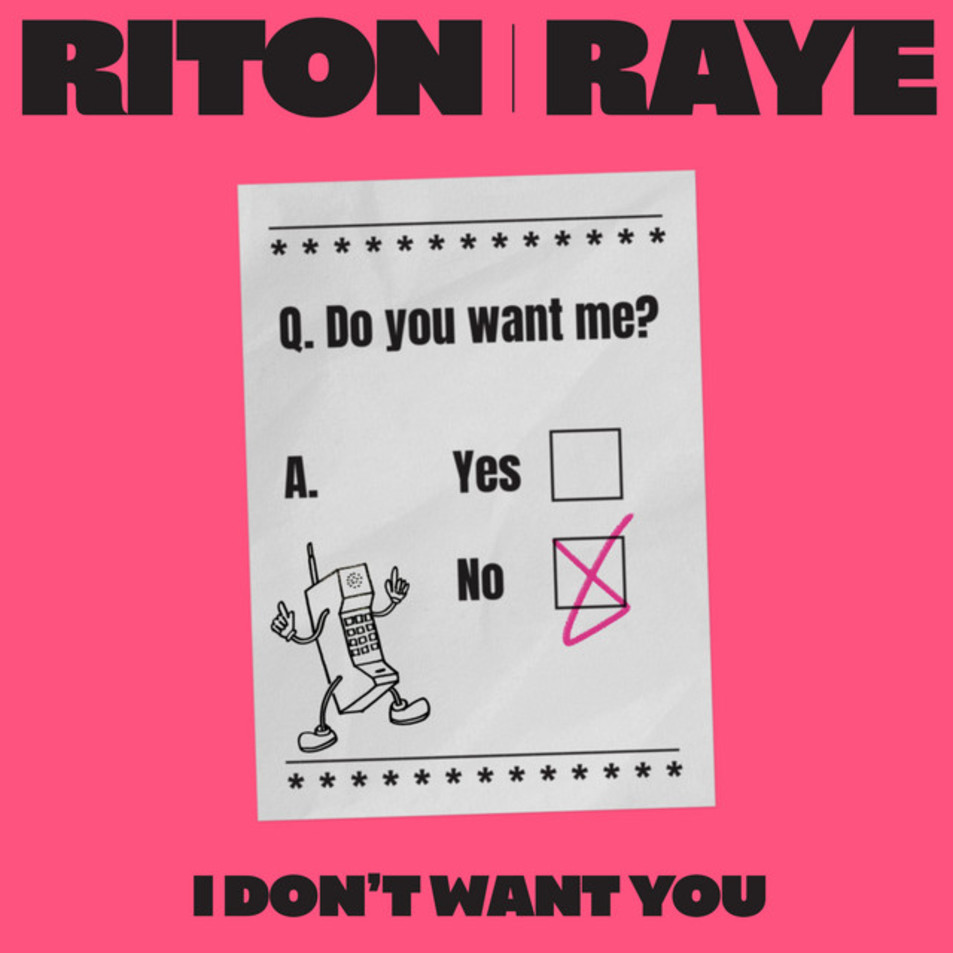 Cartula Frontal de Riton - I Don't Want You (Featuring Raye) (Cd Single)