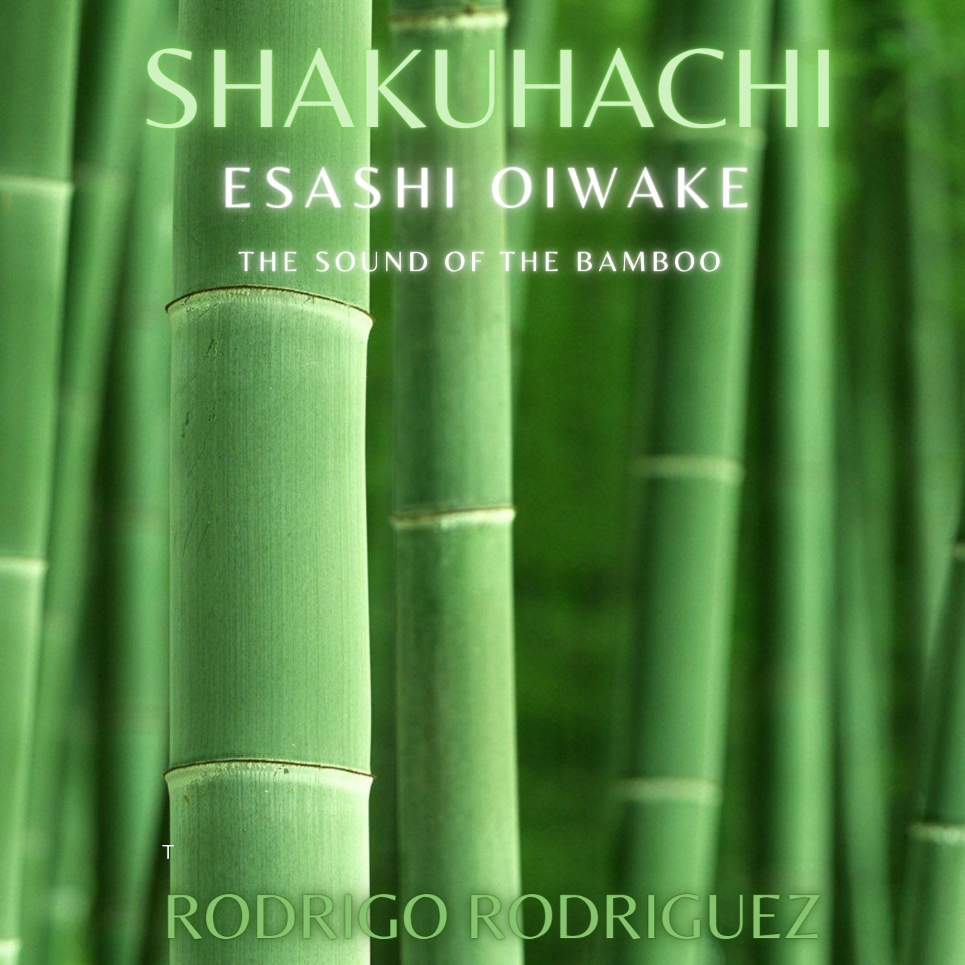Cartula Frontal de Rodrigo Rodriguez - Shakuhachi: Esashi Oiwake (The Sound Of The Bamboo) (Cd Single)
