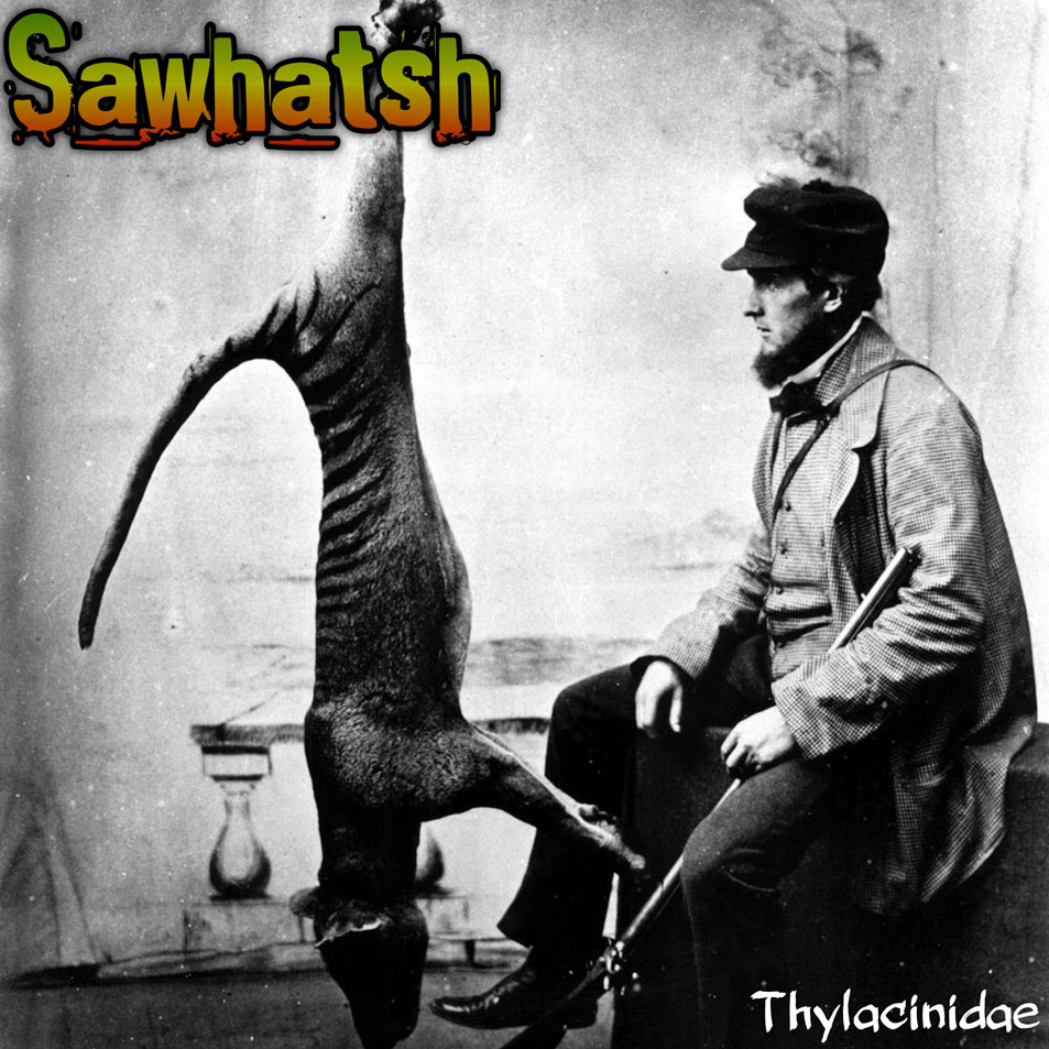 Cartula Frontal de Sawhatsh - Thylacinidae