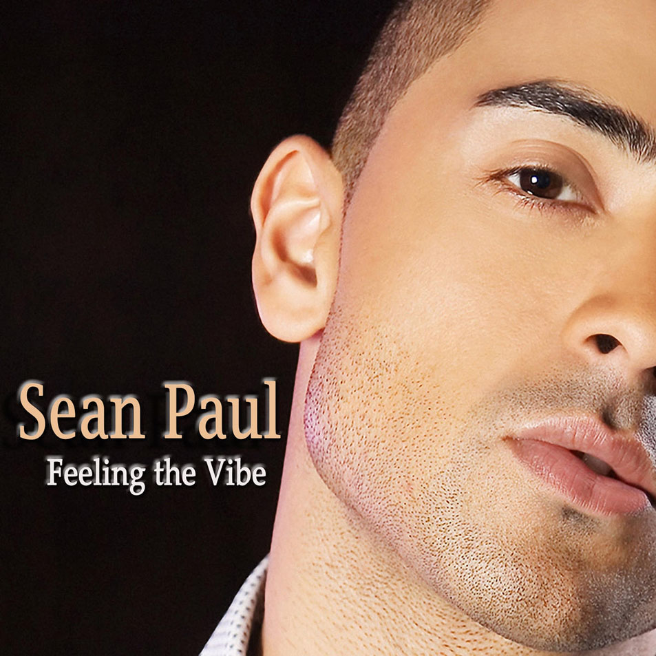 Cartula Frontal de Sean Paul - Feeling The Vibe (Cd Single)