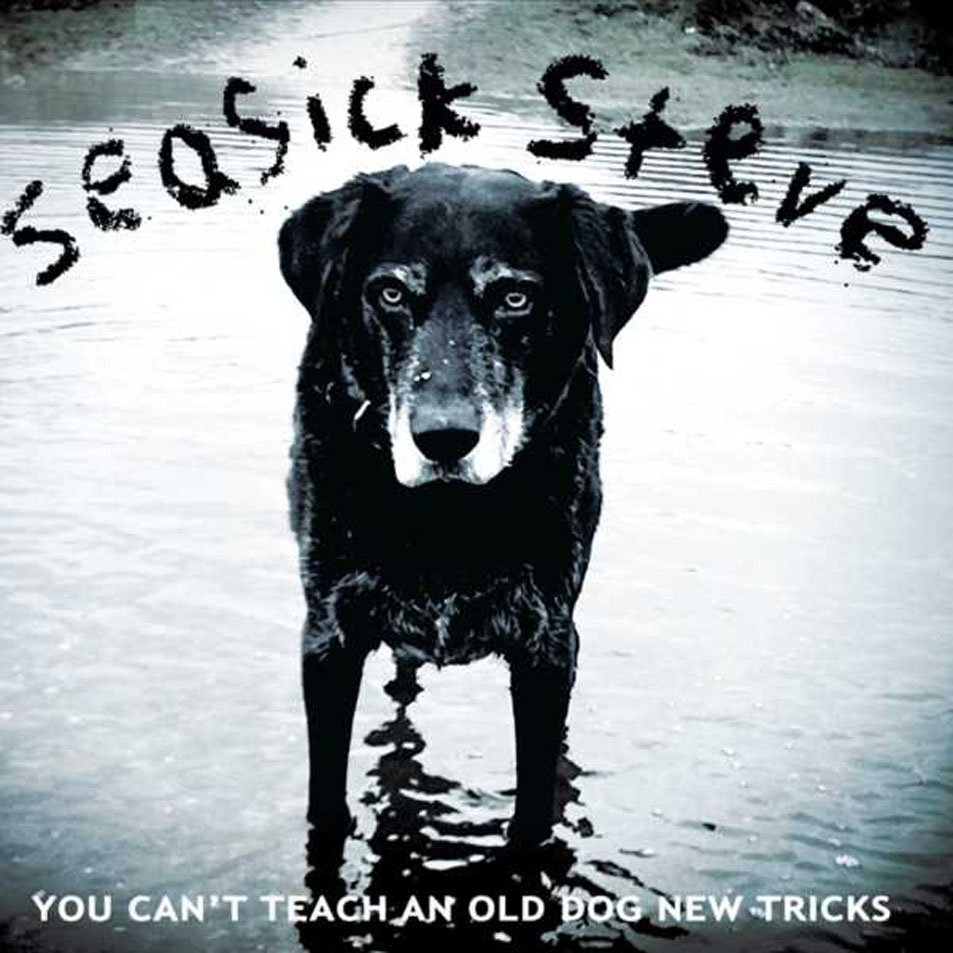 Cartula Frontal de Seasick Steve - You Can't Teach An Old Dog New Tricks
