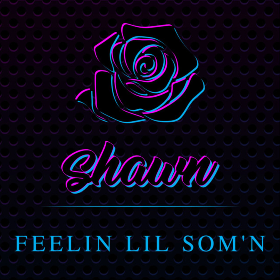 Cartula Frontal de Shawn Stockman - Feelin Lil Som'n (Cd Single)
