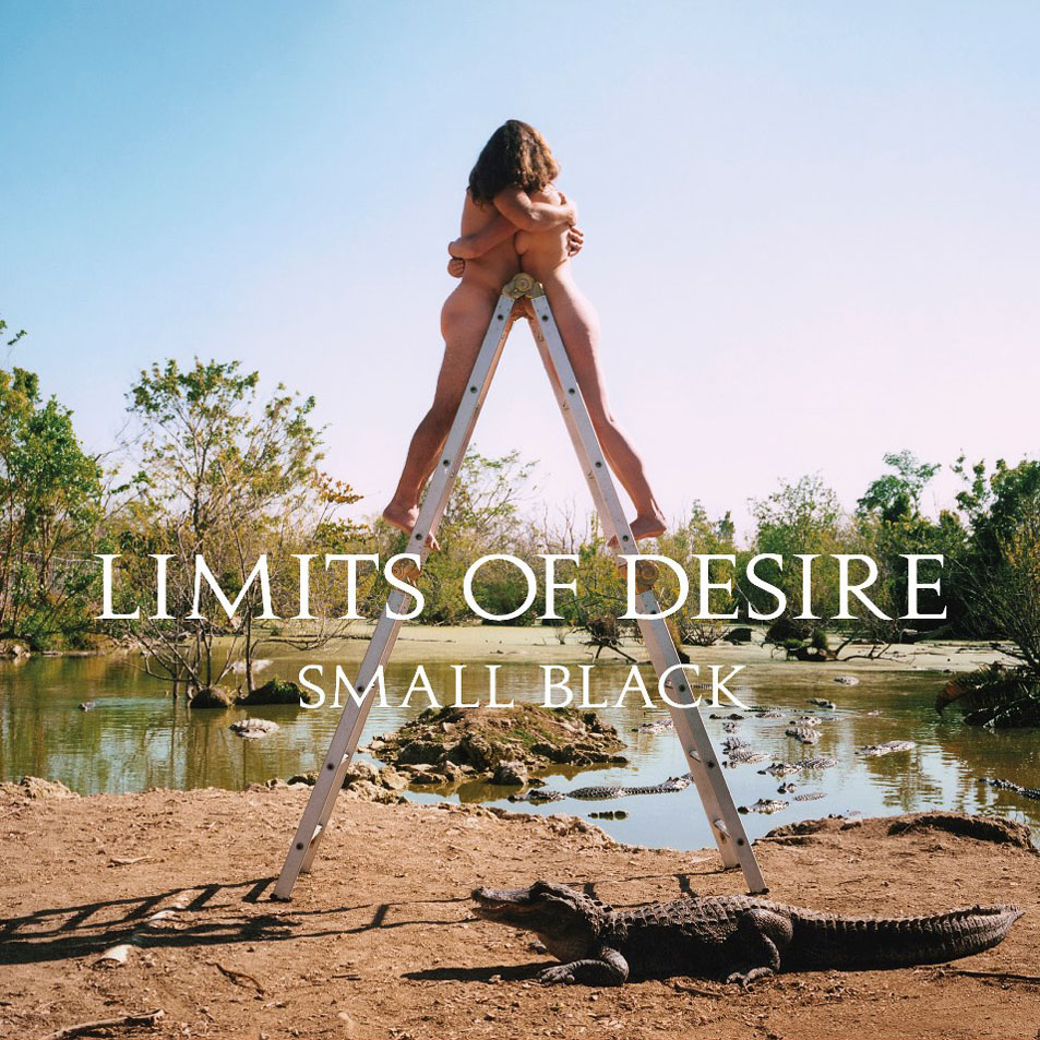 Cartula Frontal de Small Black - Limits Of Desire