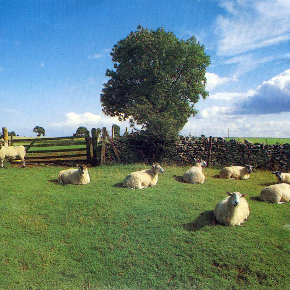 Cartula Frontal de The Klf - Chill Out