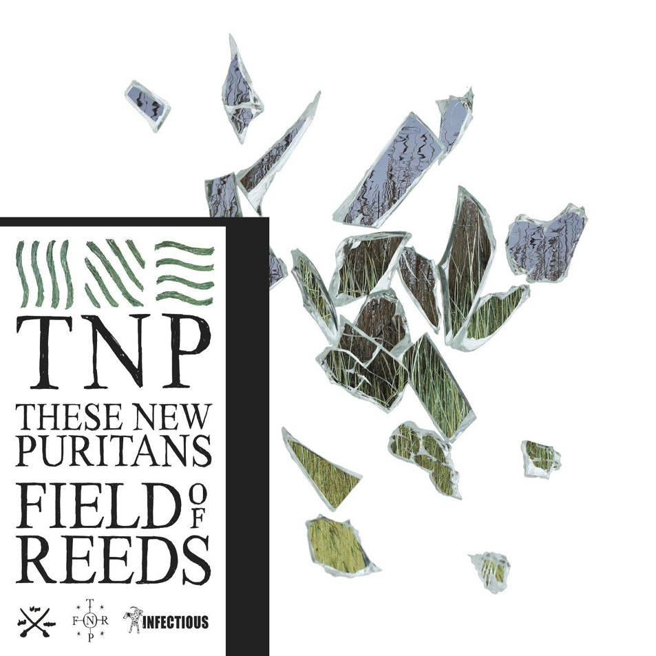 Cartula Frontal de These New Puritans - Field Of Reeds