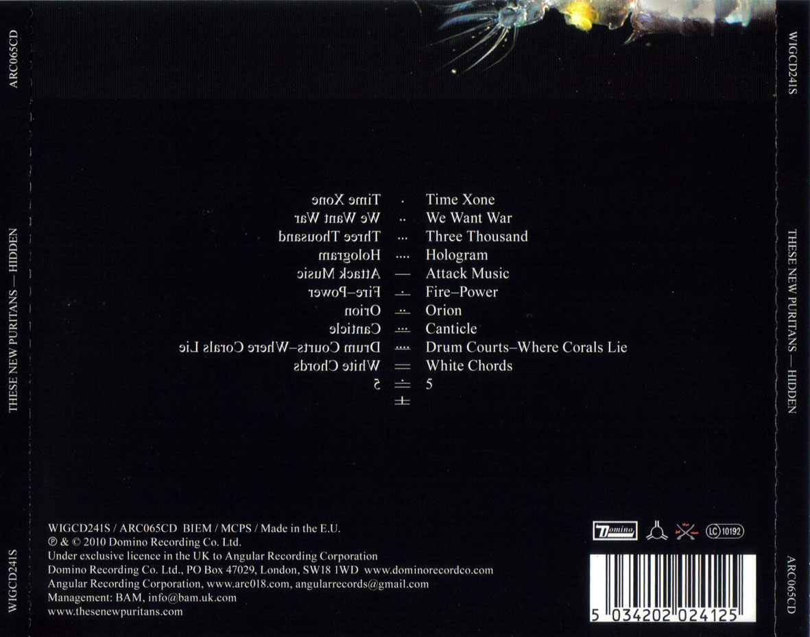 Cartula Trasera de These New Puritans - Hidden