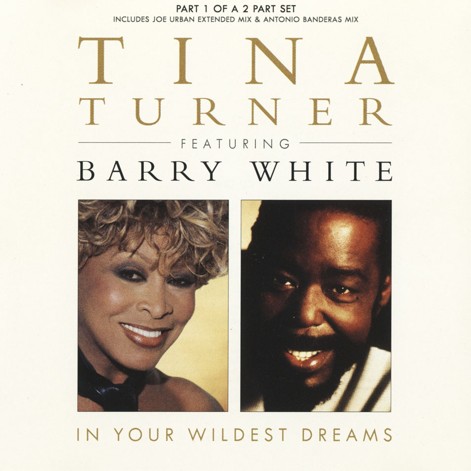 Cartula Frontal de Tina Turner - In Your Wildest Dreams (Cd Single)