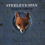 Tempted And Tried Steeleye Span