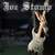Caratula frontal de The Essential Shred Guitar Collection Joe Stump