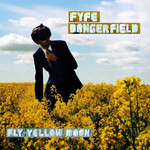 Fly Yellow Moon Fyfe Dangerfield