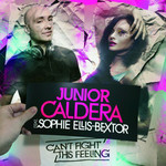 Can't Fight This Feeling (Feat. Sophie Ellis-Bextor) (Cd Single) Junior Caldera