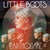 Disco Earthquake (Cd Single) de Little Boots