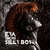 Caratula frontal de Silly Boy (Cd Single) Eva Simons
