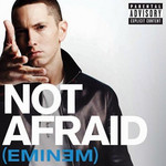 Not Afraid (Cd Single) Eminem