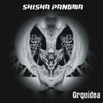 Orquidea Shisha Pangma