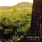 Noble Beast Andrew Bird