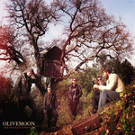 The Thickest Forest Olivemoon