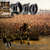 Disco At Donington Uk: Live 1983 & 1987 de Dio