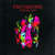 Cartula frontal Foo Fighters Wasting Light (Deluxe Edition)