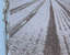 Caratula Interior Trasera de Tracy Chapman - New Beginning