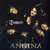 Disco Angina (Cd Single) de Tristania