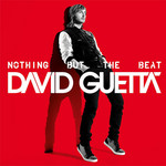 Nothing But The Beat David Guetta