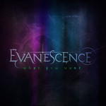 What You Want (Cd Single) Evanescence