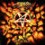 Caratula frontal de Worship Music Anthrax