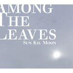Among The Leaves Sun Kil Moon