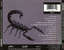 Carátula trasera Scorpions Hot & Slow (The Best Of The Ballads)