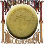 Psychedelic Pill Neil Young & Crazy Horse