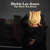 Caratula frontal de The Devil You Know (Deluxe Edition) Rickie Lee Jones