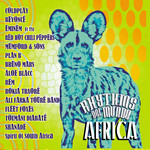 Africa Rhythms Del Mundo