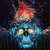 Caratula frontal de The Connection (Deluxe Edition) Papa Roach