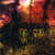 Caratula Interior Frontal de Avenged Sevenfold - City Of Evil