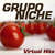 Disco Virtual Hits de Grupo Niche