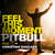 Caratula frontal de Feel This Moment (Featuring Christina Aguilera) (Cd Single) Pitbull