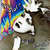Caratula frontal de True Colors (Cd Single) Cyndi Lauper