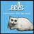 Disco Novocaine For The Soul (Cd Single) de Eels