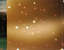 Caratula Interior Trasera de Ellie Goulding - Lights (Usa Edition)
