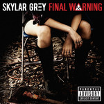 Final Warning (Cd Single) Skylar Grey