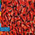 Cartula frontal Peter Gabriel Blood Of Eden (Cd Single)