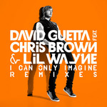 I Can Only Imagine (Remixes) (Cd Single) David Guetta
