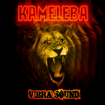 Vibra Sound Kameleba