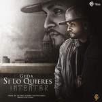 Si Lo Quieres Intentar (Cd Single) Geda