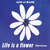 Caratula frontal de Life Is A Flower (Remixes) (Cd Single) Ace Of Base